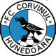CS Corvinul Hunedoara